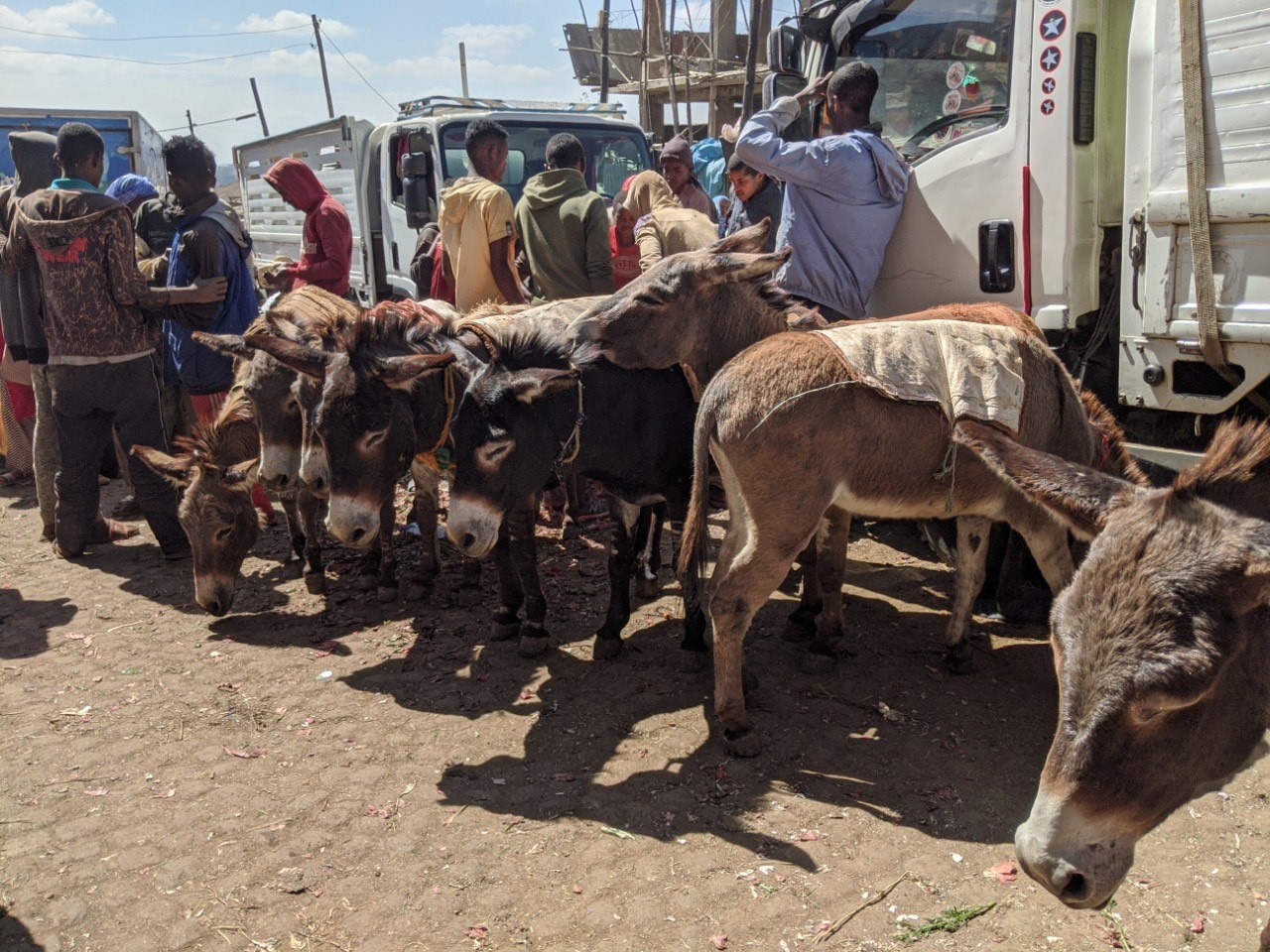 AddisAbaba1